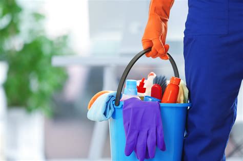 Professional Cleaning Service .